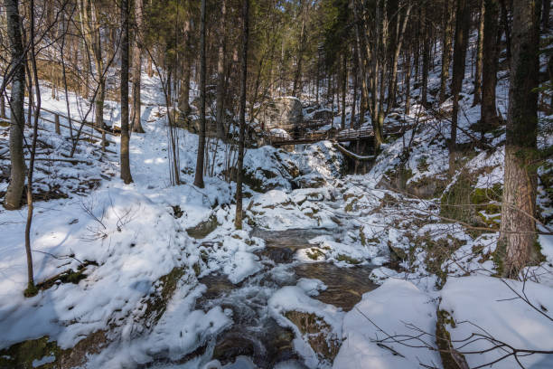 istock cllamm with water and snow in winter 1258165677