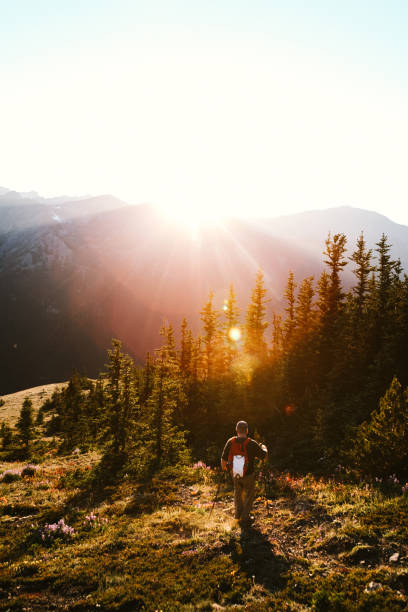 A lone mature adult hiker on a high ridge with a stunning sunset vista of the Olympic mountain range. Shot in Washington state on the Olympic Peninsula