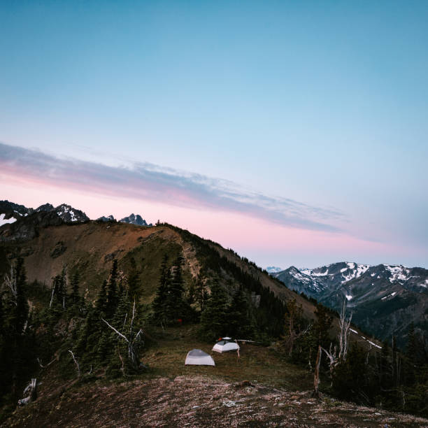 istock Backpackers Camp Tents On Olympic Peninsula 1258167065