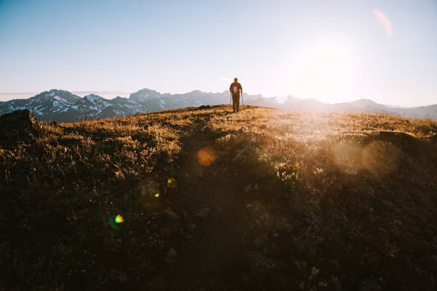 istock Backpacker Hiking Mountain Ridge With View of Olympics 1258167226