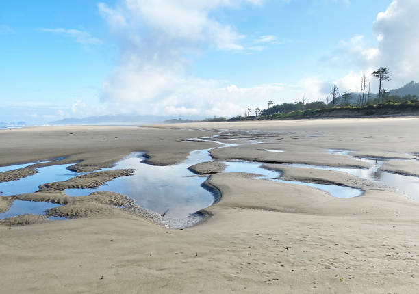 istock Tidepools on the Oregon coast 1258175005