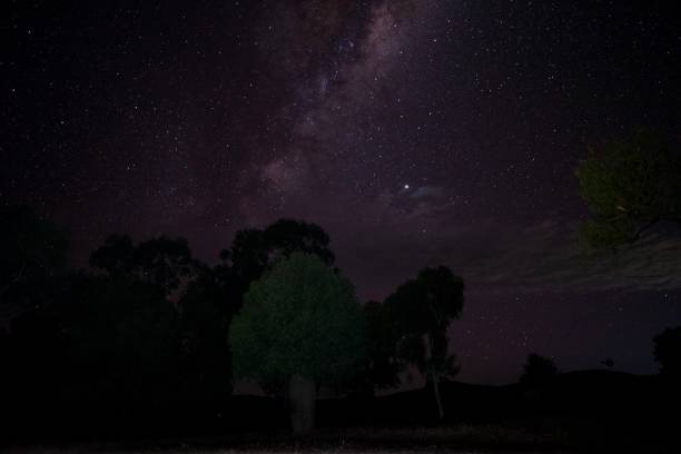 istock Boab tree and Milky Way Stars 1258175601
