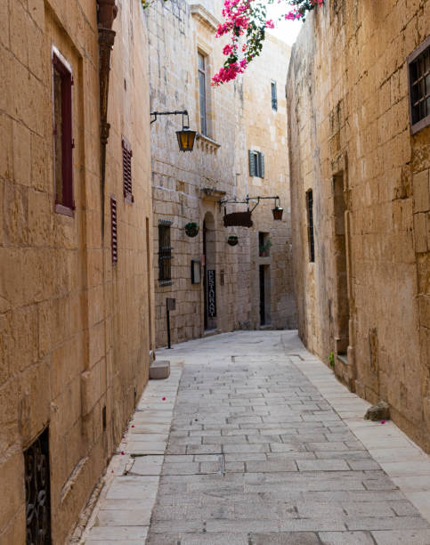 istock Alley in Mdina 1258175734