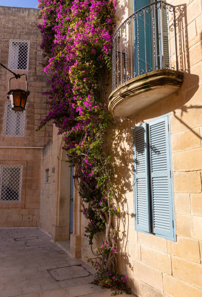 istock Photo spot in Mdina 1258175834