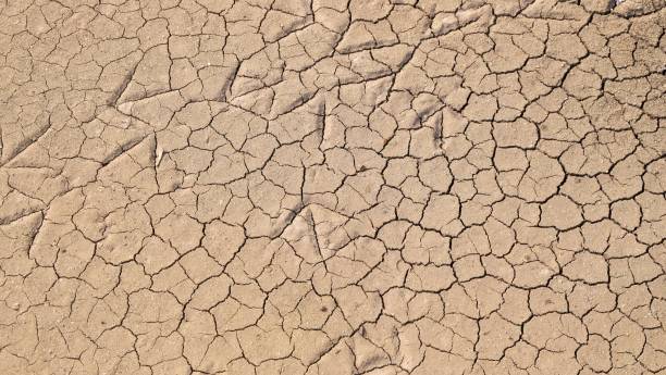 istock Cracked soil pattern in a dry land with brown color for background texture 1258178434