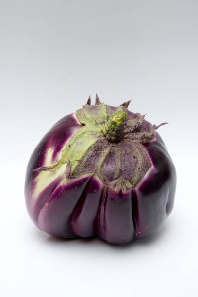 istock Vegetable garden in Canada- Large Sicilian eggplant in white background 1258187852