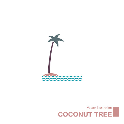 Vector drawn coconut tree. Isolated on white background.