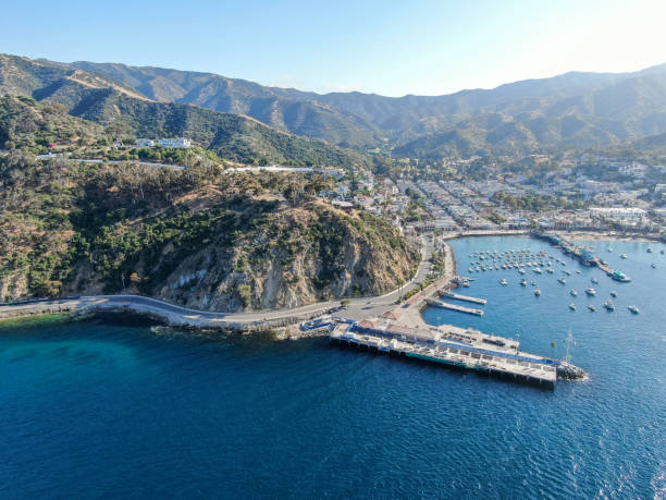 vista aérea do centro de avalon e baía na ilha de santa catalina, eua - public building blue channel travel - fotografias e filmes do acervo