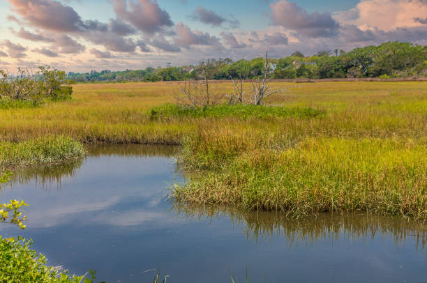 istock Blue River Through Saltwater Marsh at Dusk 1258239994