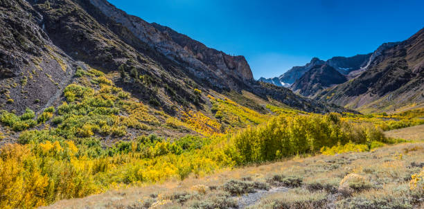 mcgee creek canyon im inyo national forest auf der ostseite des sierra nevada mountain of california. herbstfarben aus espen und schwarzen baumwollbäumen. - gee gee stock-fotos und bilder