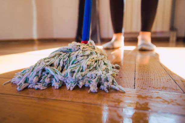istock Housewife 1258278447
