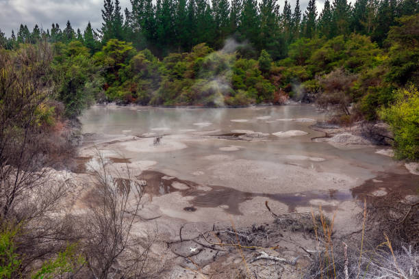 кипящий грязевой бассейн. - new zealand geyser champagne park стоковые фото и изображения