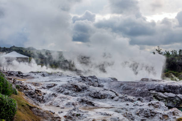 puntos de vista en nueva zelanda - new zealand geyser champagne park fotografías e imágenes de stock