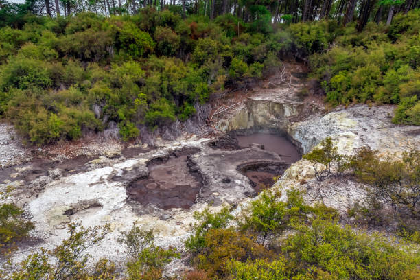 взгляды новой зеландии - new zealand geyser champagne park стоковые фото и изображения