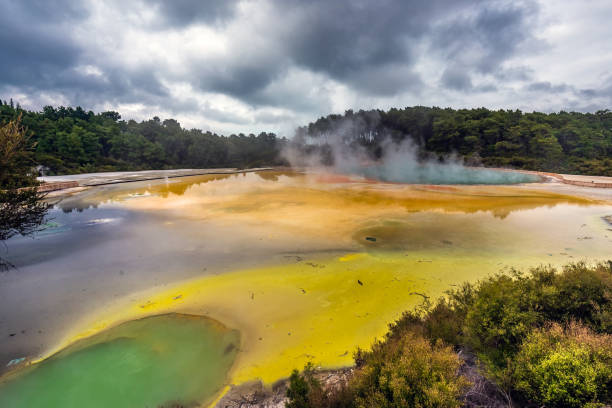puntos de vista en nueva zelanda - new zealand geyser champagne park fotografías e imágenes de stock