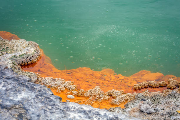 взгляды новой зеландии - new zealand geyser champagne park стоковые фото и изображения