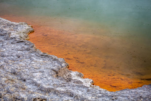 puntos de vista en nueva zelanda - new zealand geyser champagne park fotografías e imágenes de stock