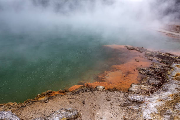 взгляды новой зеландии - new zealand geyser champagne park стоковые фото и изображения