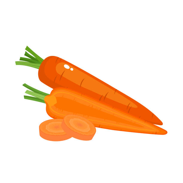 helle vektor-illustration von frischen karotten isoliert auf weiß. - carrot isolated white carotene stock-grafiken, -clipart, -cartoons und -symbole