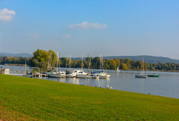 embankment covered with green grass on a walk swans. in the distance there are boats in lake maggiore. italy. angera - angera imagens e fotografias de stock