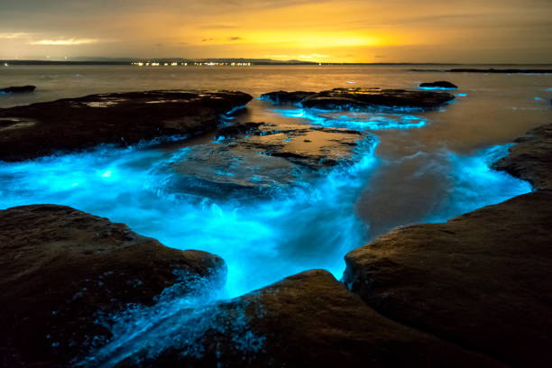 Bioluminescence Bioluminescence Jervis Bay, Australia bioluminescence water stock pictures, royalty-free photos & images