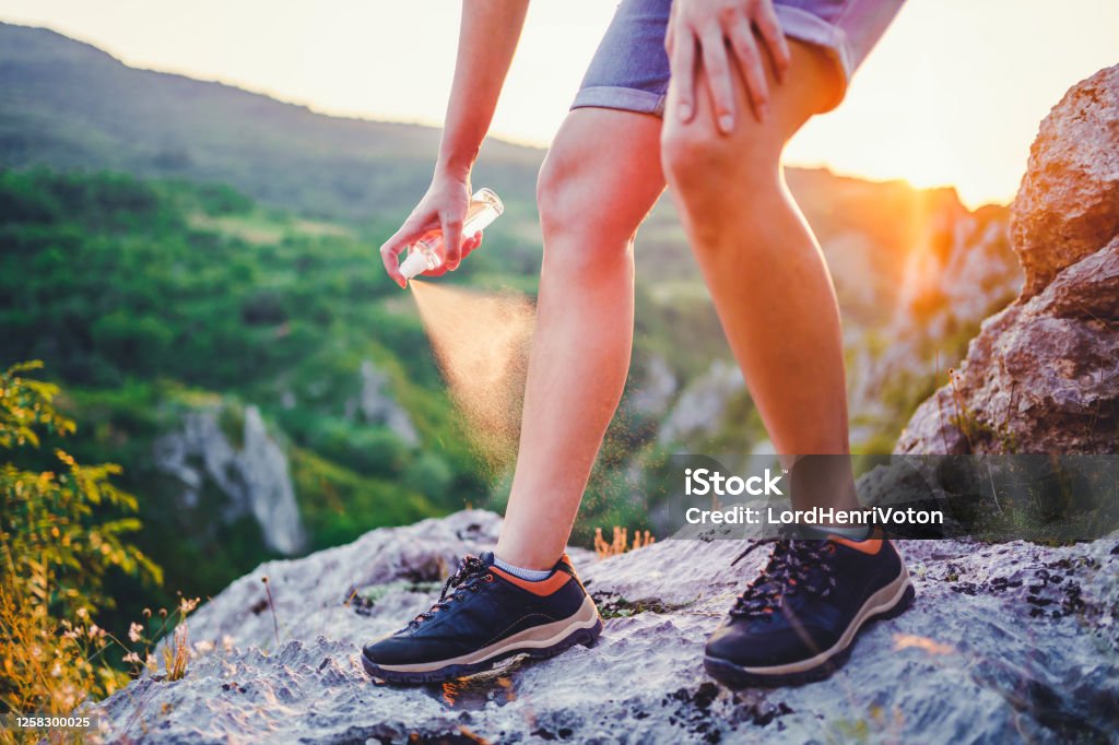 Woman using anti mosquito spray outdoors at hiking trip Hiker woman applying anti mosquito repellent on the leg during hiking in nature Mosquito Stock Photo