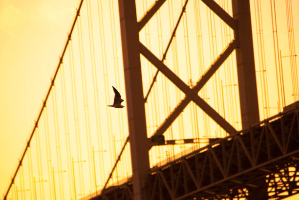 istock Kanmon Bridge in Shimonoseki 1258306086