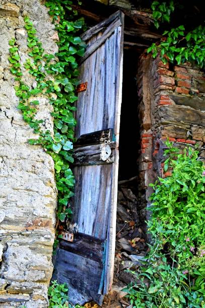 istock Old door on abandoned house 1258335963