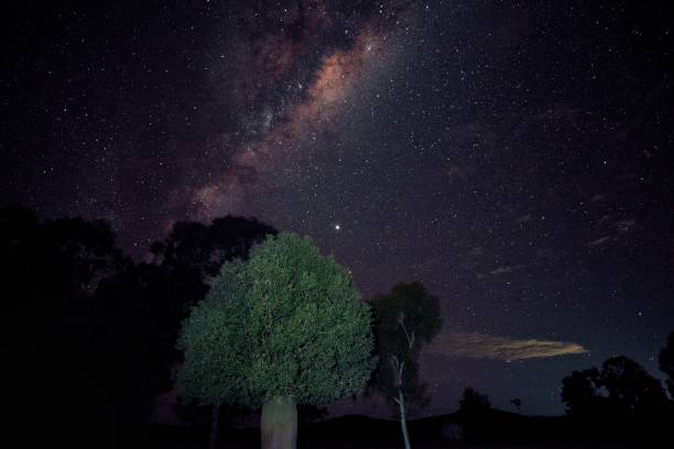 istock Boab tree and Milky Way Stars and plane 1258341665