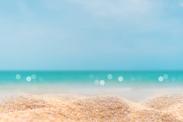 istock Tropical nature clean beach and white sand in summer with palm tree leaf sun light blue sky and bokeh abstract  background. 1258406693
