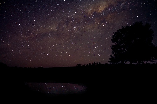 Dam and Milky Way Stars moving