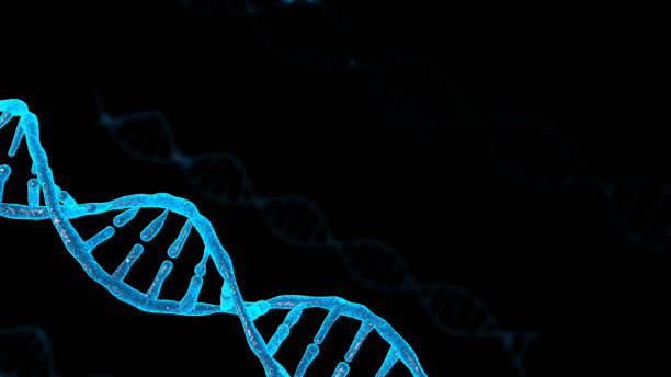 istock 3D rendering of DNA on black background. Super high resolution, high pixel picture. 1258417409