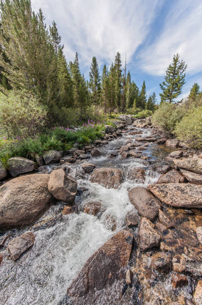istock Rock Creek,  Inyo National Forest, Inyo County, Sierra Nevada Mountains. 1258424273