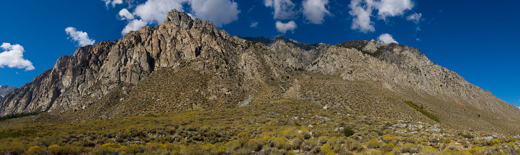 Rubber Rabbitbrush; Chrysothamnus nauseosus; Pine Creek Canyon; Inyo County NF; Wheeler Ridge; East Sierra Nevada Mountains; California, yellow, rocks, mountain ridge