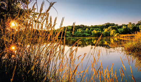 View of Midwestern lake at sunset early in the fall; setting sun reflects in water;  dry grass in foreground; forest and clear sky in background