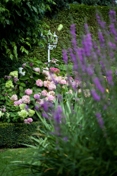 istock Garden design with bed in summer 1258463675