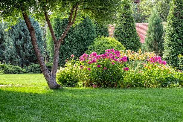 istock Colorful flower garden 1258463700