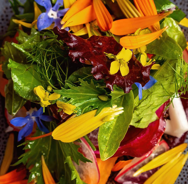 istock Australian Bush Food Salad 1258482567