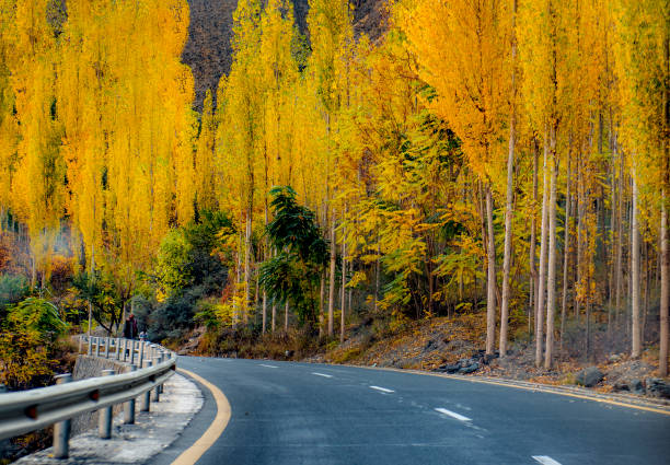 istock Autumn season in gilgit baltistan , Pakistan 1258540701