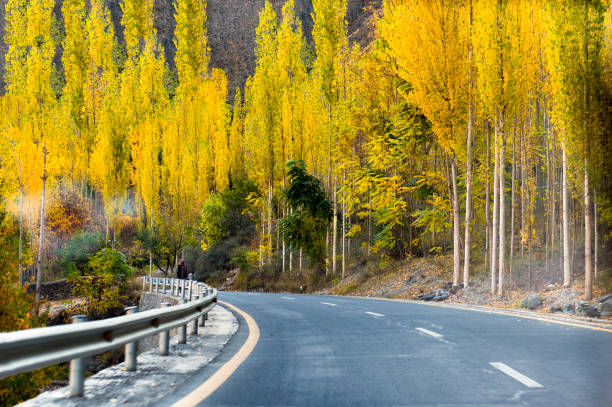 istock Autumn season in gilgit baltistan , Pakistan 1258545384