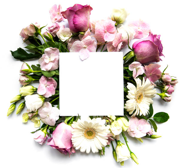 istock Pink flowers in frame with white square for text 1258602984