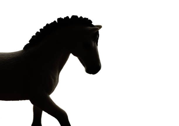 istock Horse Silhouette 1258615489