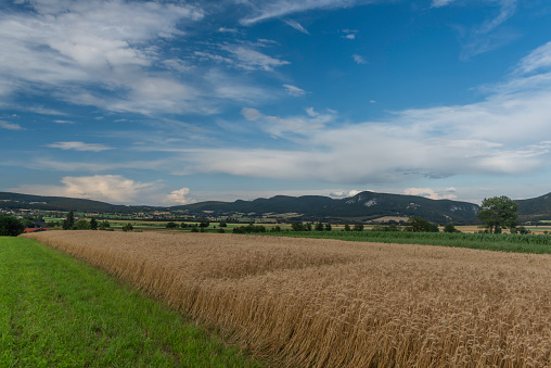 Fields and meadows near Maiersdorf village in Austria in summer cloudy evening