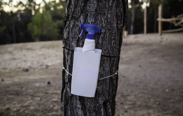 istock Disinfecting gel in forest 1258634240