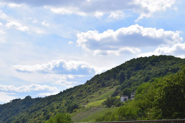 southern hills of the Mosel valley
