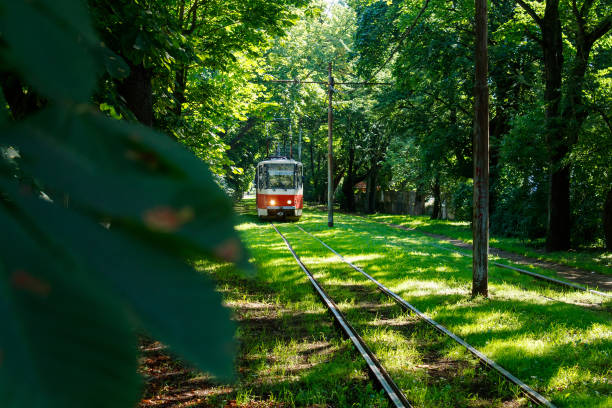 istock city tram rides on the rails on a summer day 1258677964
