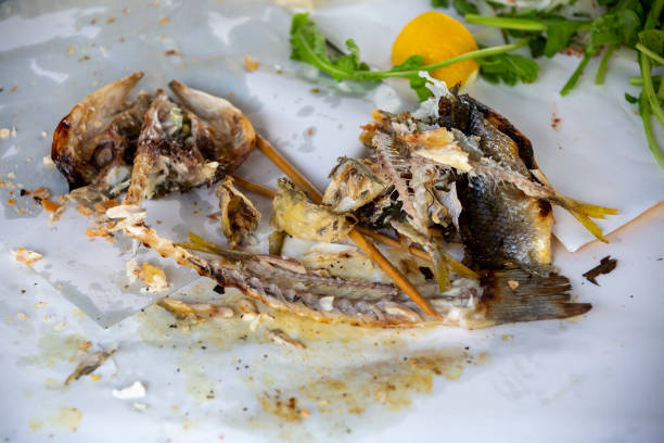 top viewe eaten fish and skeleton background