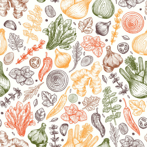 ilustraciones, imágenes clip art, dibujos animados e iconos de stock de hierbas y especias patrón sin costuras. jengibre, espinacas, cebolla, pimienta, ajo, hinojo. fondo de embalaje. - vegetable