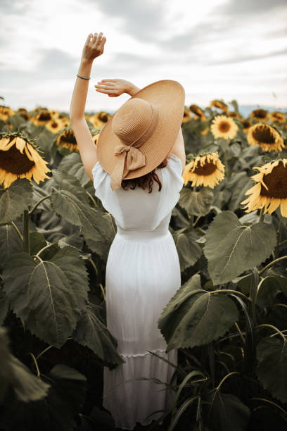 istock Summer vibes in sunflower field 1258733705