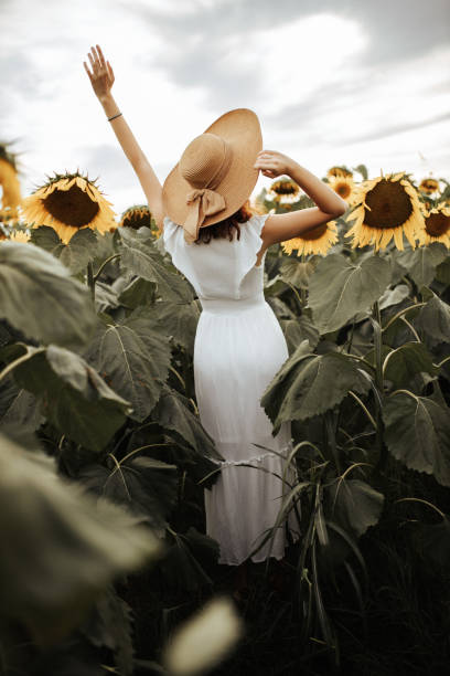 istock Summer vibes in sunflower field 1258733884